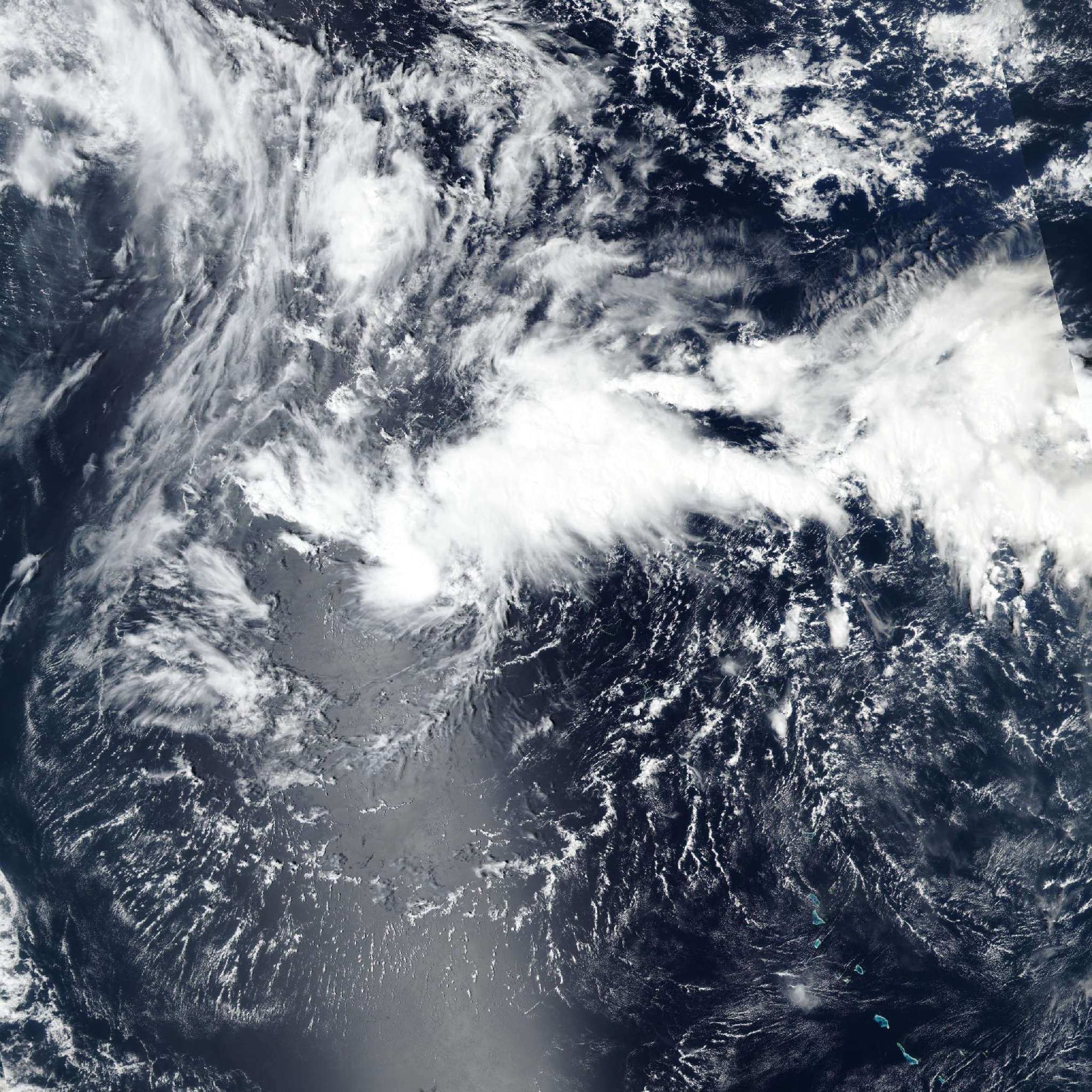 Typhoon Koguma Forecast: Track and Intensity Outlook