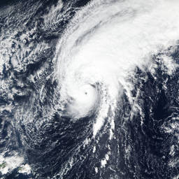 Hurricane Tammy 2023 | Zoom Earth