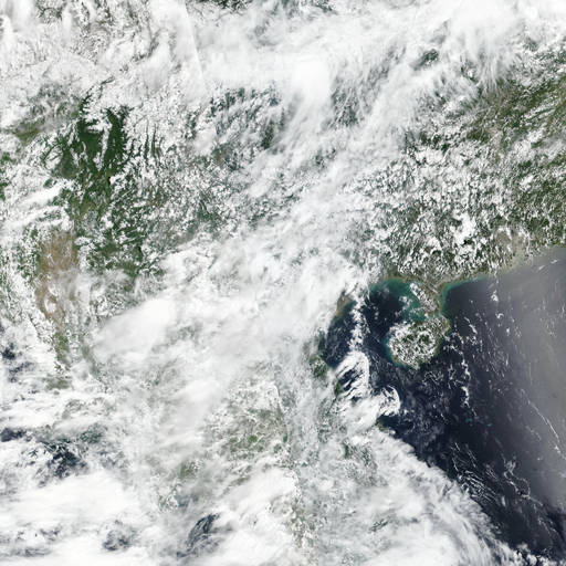 Tropical Depression 08W
