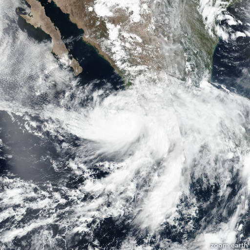 Tropical Cyclone Hurricane Trackers Zoom Earth