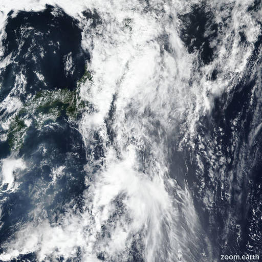 Remnant Low 08W