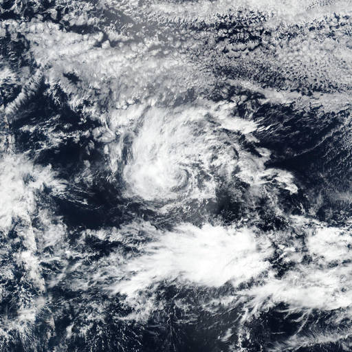 Tropical Storm Amanda