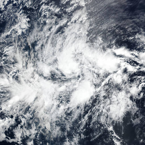 Tropical Storm Amanda