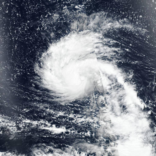 Tropical Storm Bavi