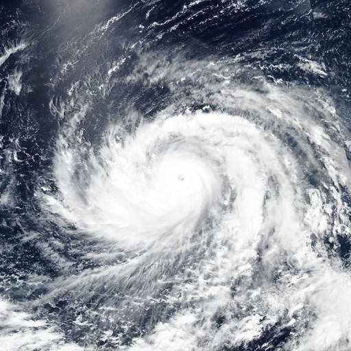 Typhoon Bavi (Inday)
