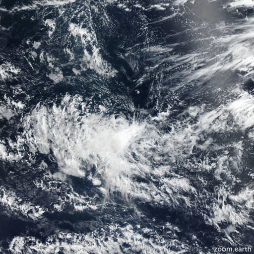 Tropical Storm Blossom