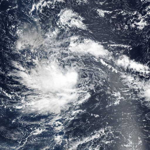Tropical Storm Champi