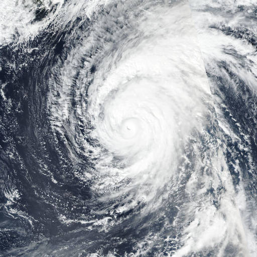 Typhoon Choi-wan