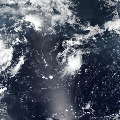 Tropical Storm Cristobal