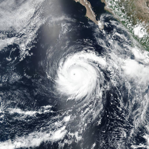 Hurricane Genevieve