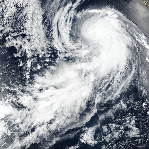 Remnant Low Julio