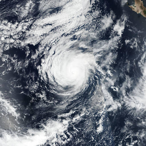 Hurricane Odalys